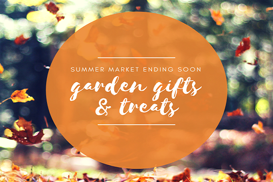 Summer Market Ends - News Section Website Summer Market Ends - News Section Website