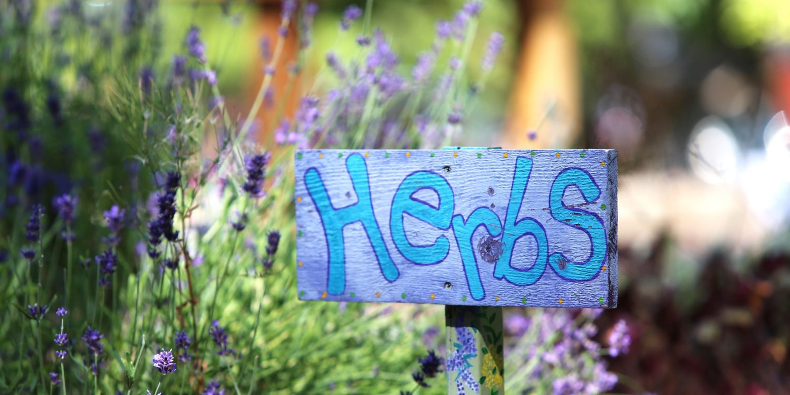 An image of a sign that says "Herbs" with a lavender plant growing to the left of it