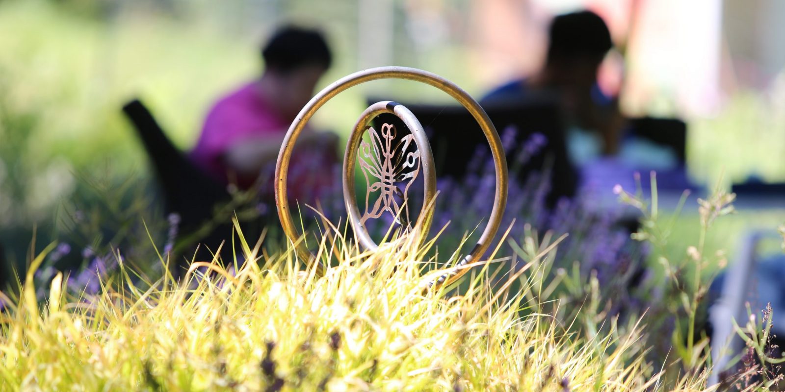 Photo of sprinkler among grass in Tavon's sensory garden with people in the background